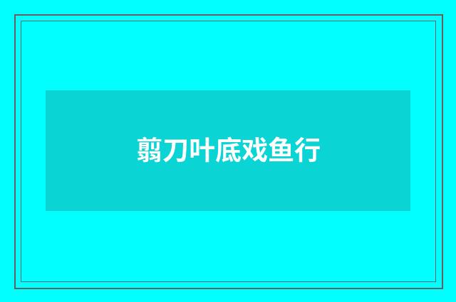 翦刀叶底戏鱼行