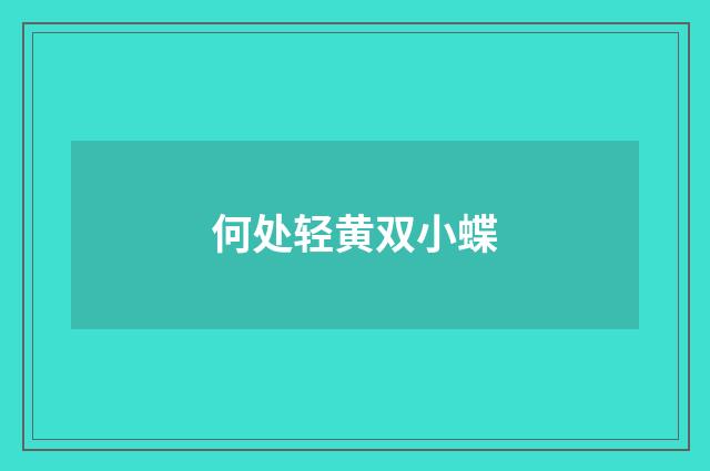 何处轻黄双小蝶