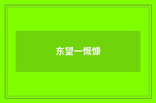 东望一慨慷