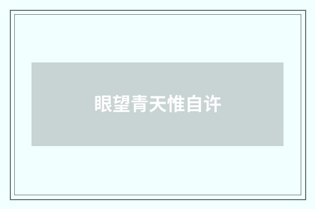 眼望青天惟自许