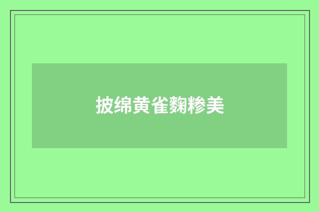 披绵黄雀麴糁美