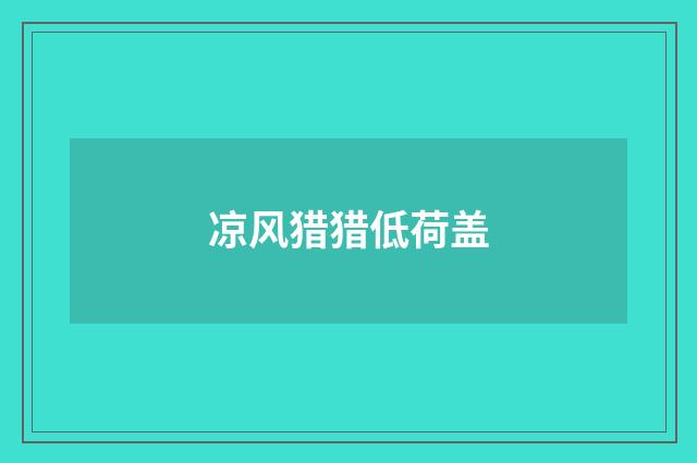 凉风猎猎低荷盖