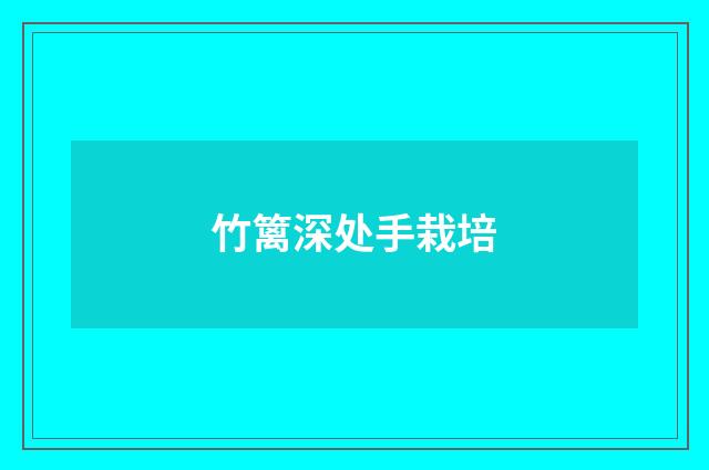 竹篱深处手栽培