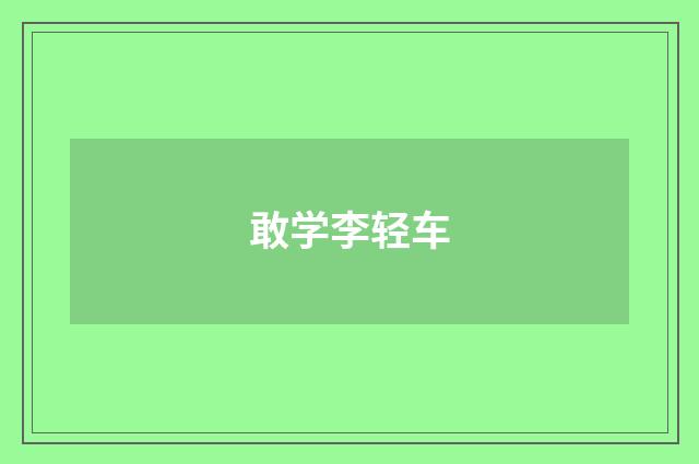 敢学李轻车