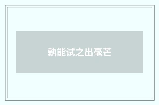 孰能试之出毫芒