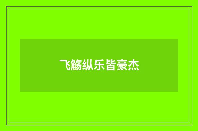 飞觞纵乐皆豪杰