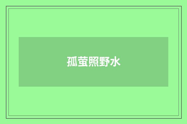 孤萤照野水