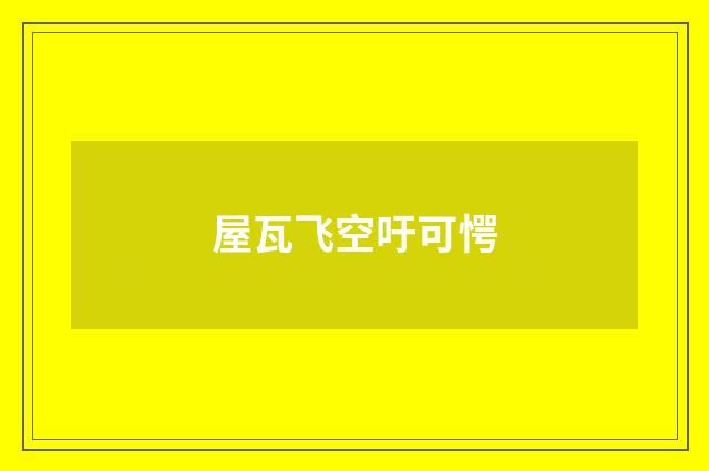 屋瓦飞空吁可愕