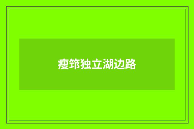 瘦筇独立湖边路