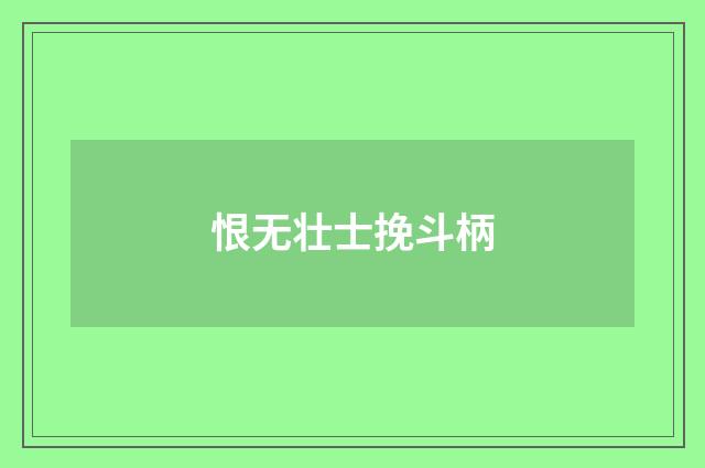 恨无壮士挽斗柄