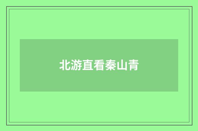 北游直看秦山青