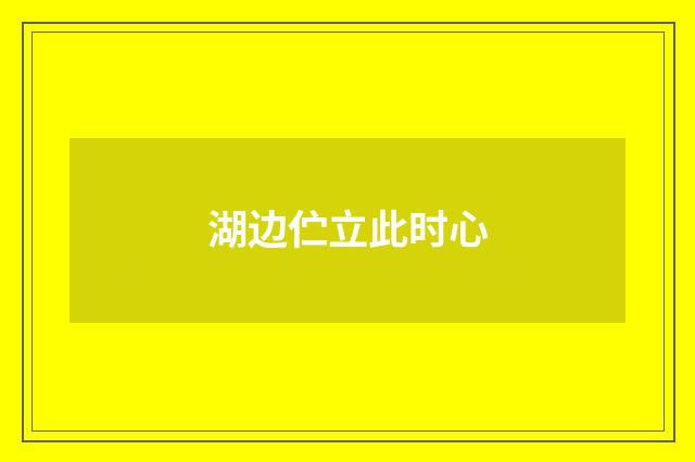 湖边伫立此时心