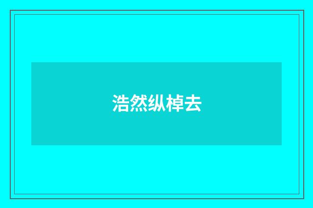 浩然纵棹去