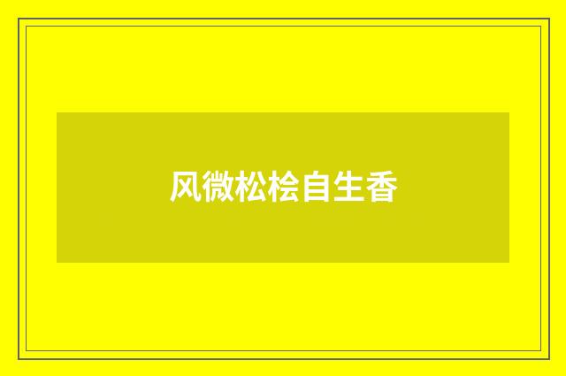 风微松桧自生香