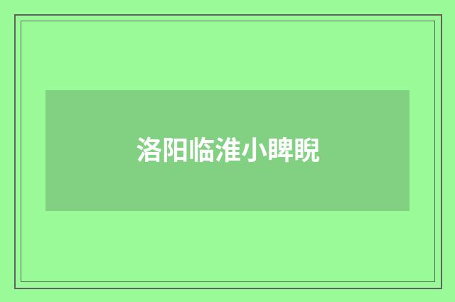 洛阳临淮小睥睨