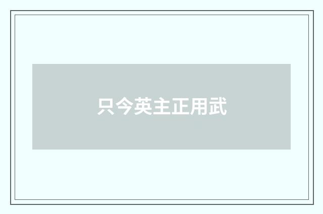 只今英主正用武
