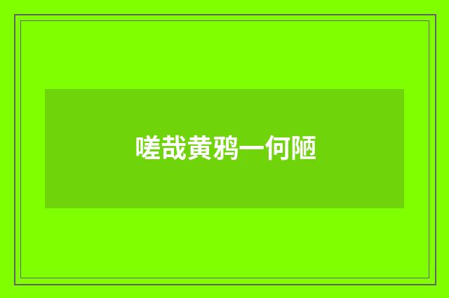 嗟哉黄鸦一何陋