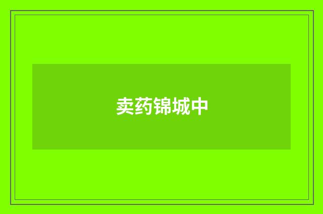 卖药锦城中