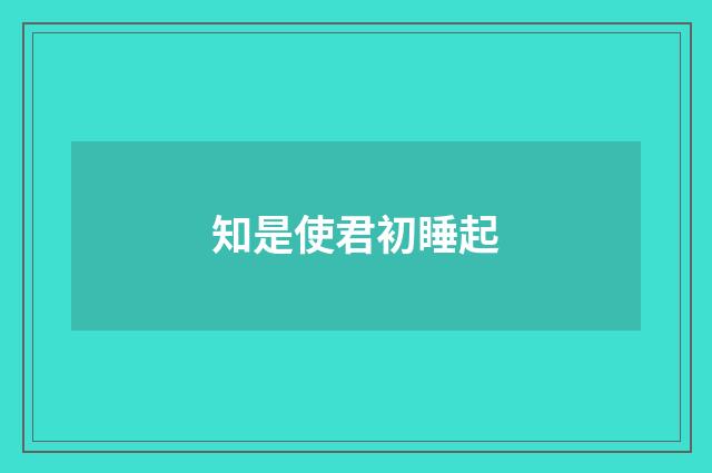 知是使君初睡起