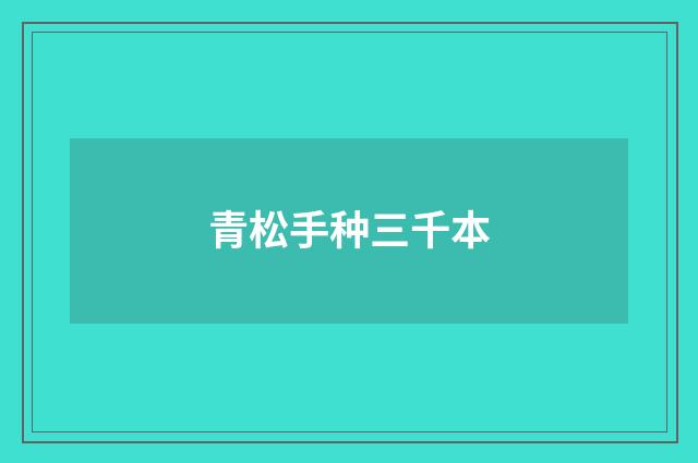 青松手种三千本