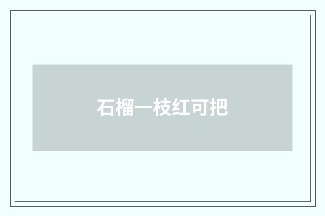 石榴一枝红可把
