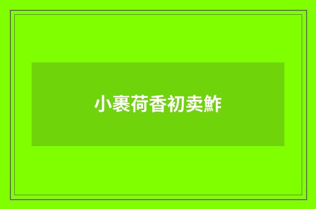 小裹荷香初卖鮓