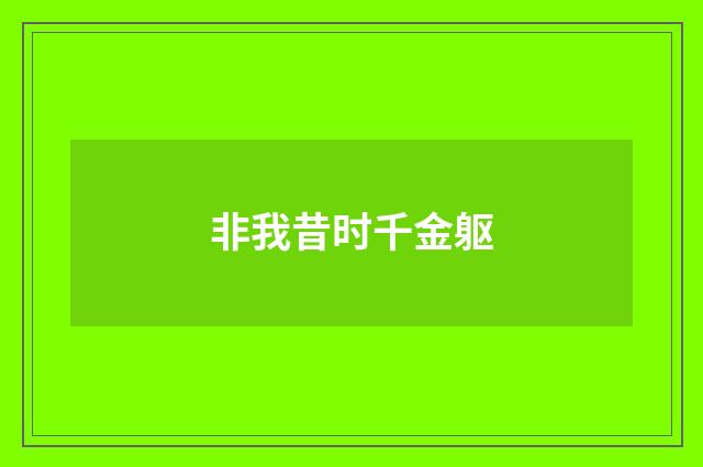 非我昔时千金躯