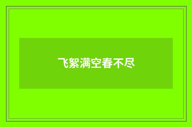 飞絮满空春不尽