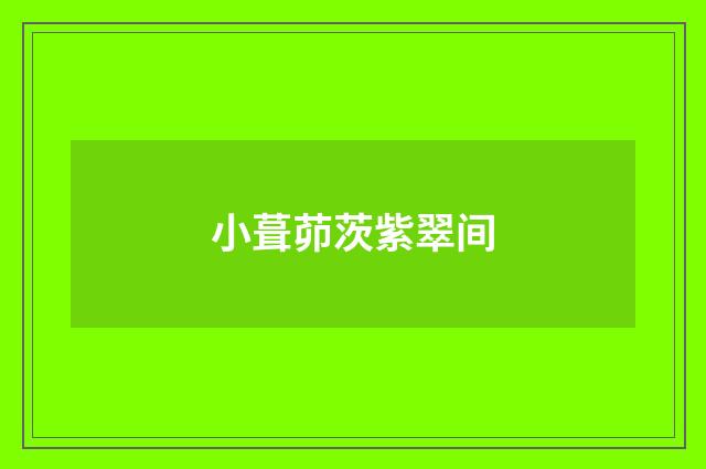 小葺茆茨紫翠间