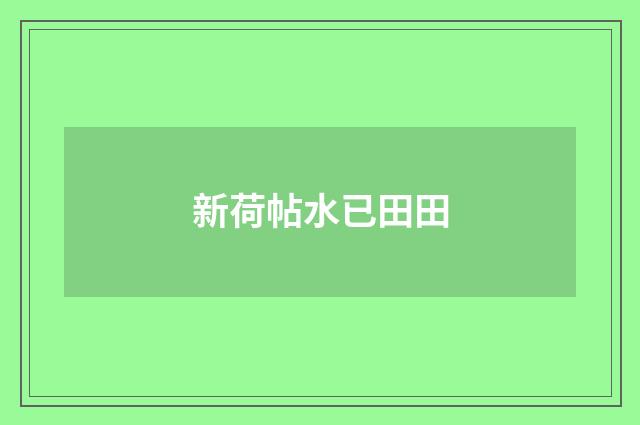 新荷帖水已田田