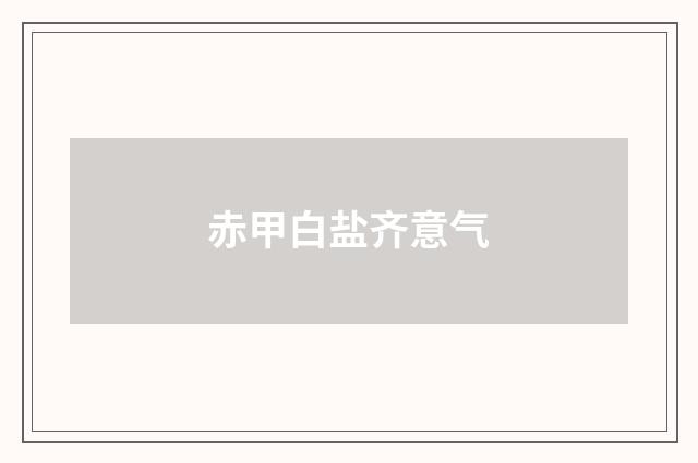 赤甲白盐齐意气