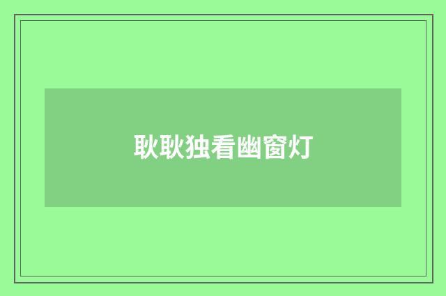 耿耿独看幽窗灯