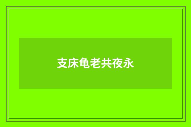 支床龟老共夜永