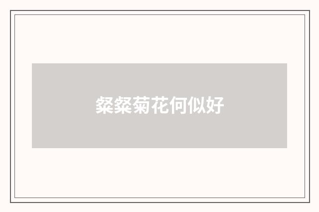 粲粲菊花何似好