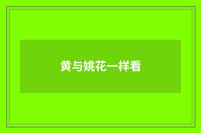 黄与姚花一样看