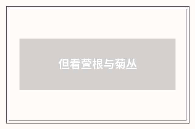但看萱根与菊丛
