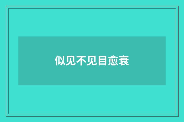 似见不见目愈衰