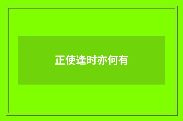 正使逢时亦何有