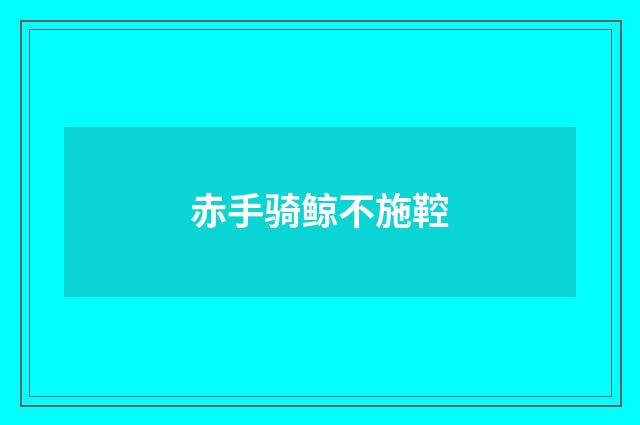 赤手骑鲸不施鞚