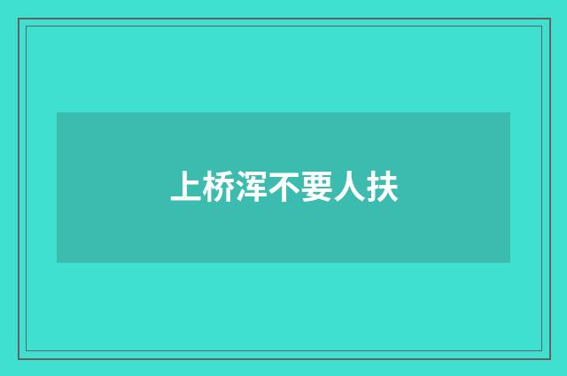上桥浑不要人扶