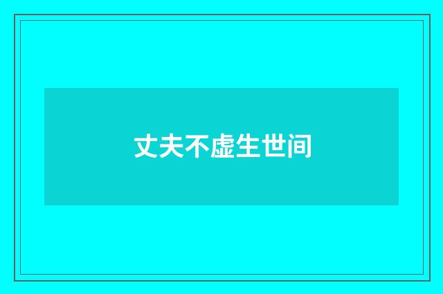 丈夫不虚生世间