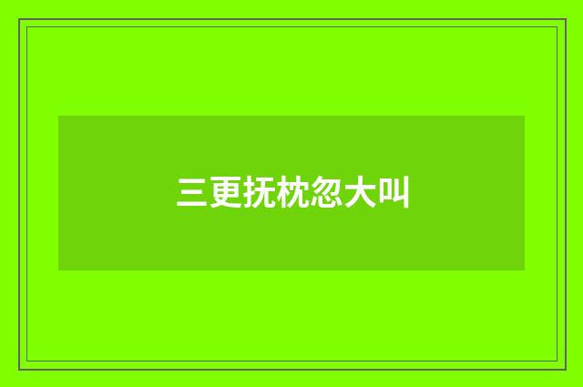 三更抚枕忽大叫