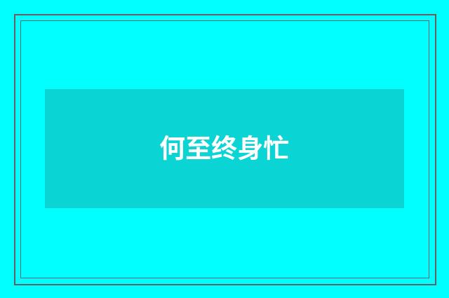 何至终身忙