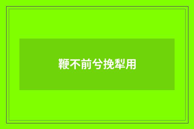 鞭不前兮挽犁用