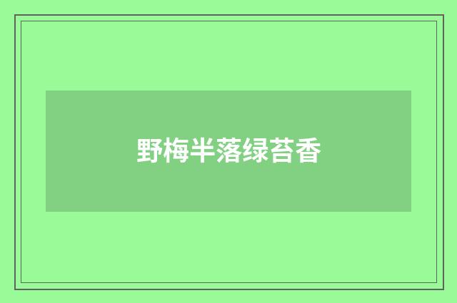 野梅半落绿苔香