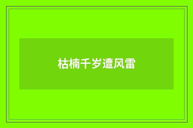枯楠千岁遭风雷
