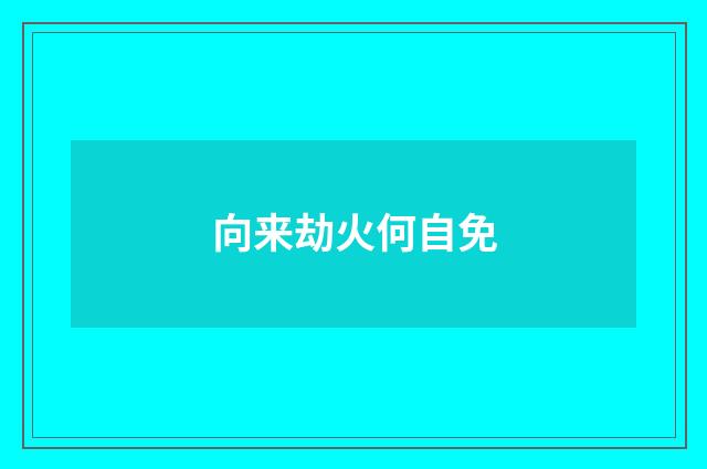 向来劫火何自免