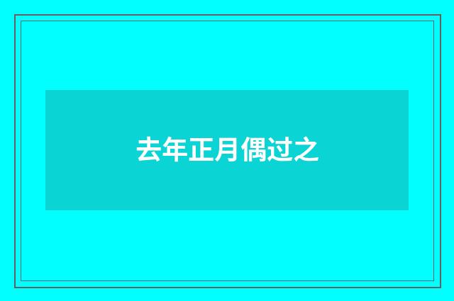 去年正月偶过之