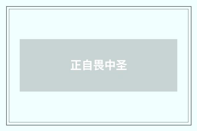 正自畏中圣