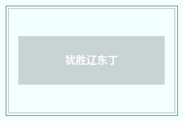 犹胜辽东丁
